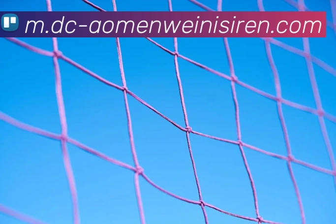 威尼斯人娱乐官网APP 高清赛事图